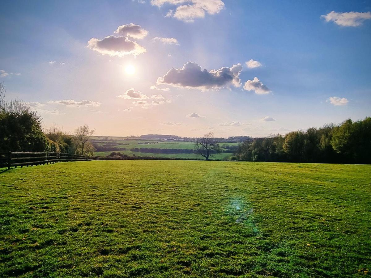 Paddock - Thorpe Arnold *