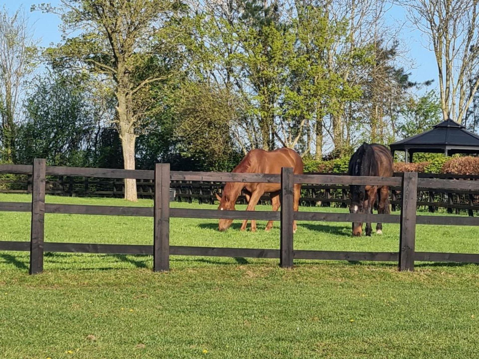 Holiday home Paddock - Thorpe Arnold Melton Mowbray
